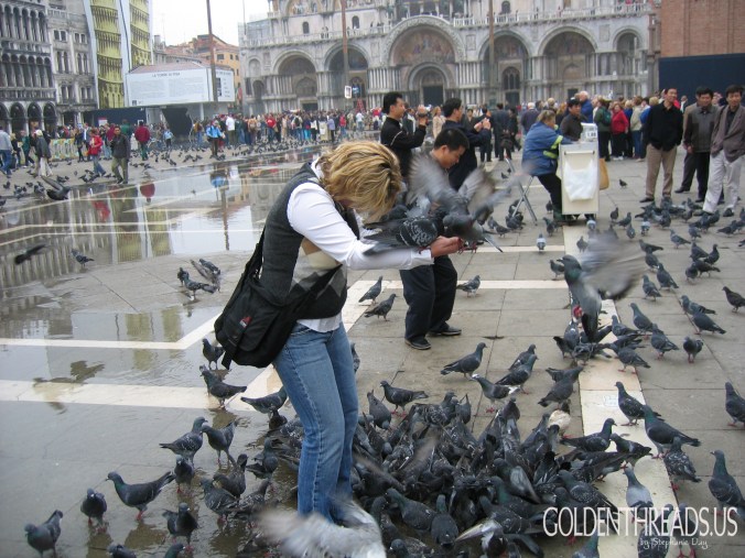 VenicePigeons