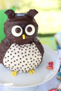 owl cake